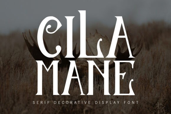 Cilamane: A Bold Serif Font for Campaign Content