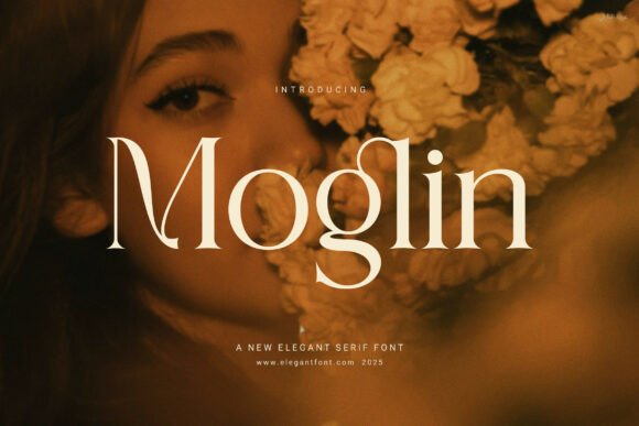 Moglin Elegant Serif Font in a Real Website Redesign