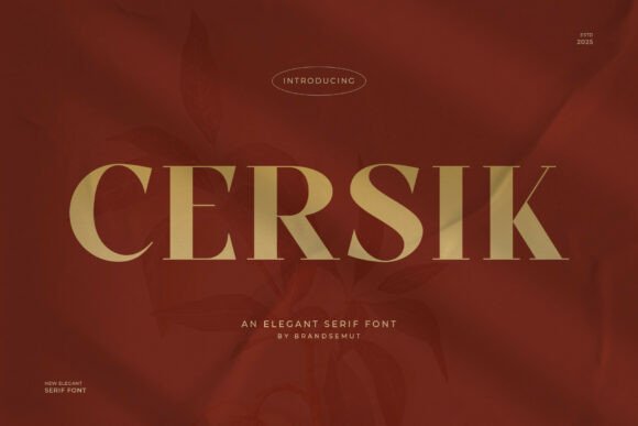 Testing Cersik: A Serif Font Built for Modern Web Design